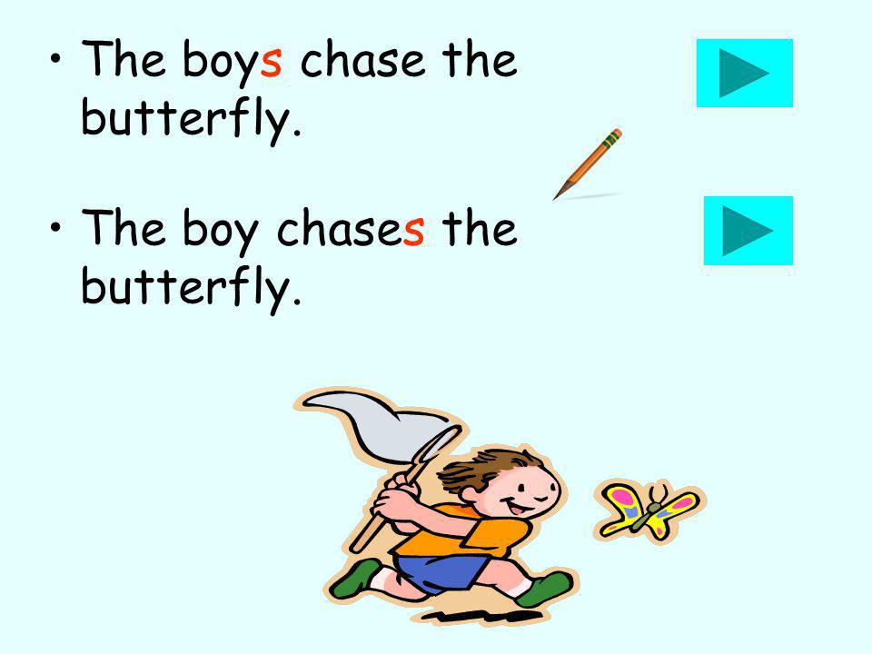 The boys chase the butterfly. The boy chases the butterfly.