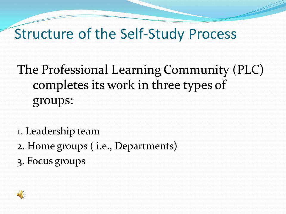 Structure of the Self-Study Process The Professional Learning Community (PLC) completes its work in three types of groups: 1.