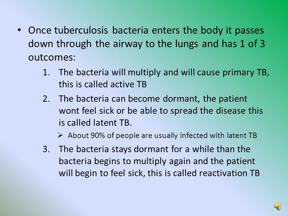 Tuberculosis Essay