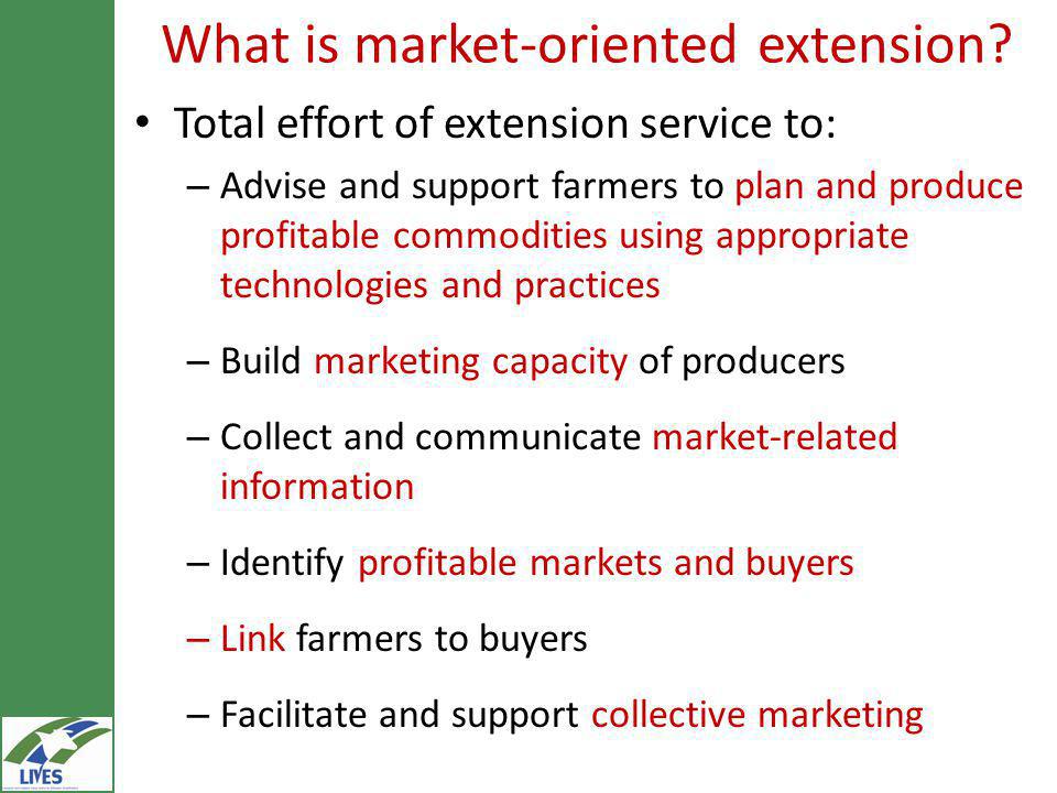 What is market-oriented extension.