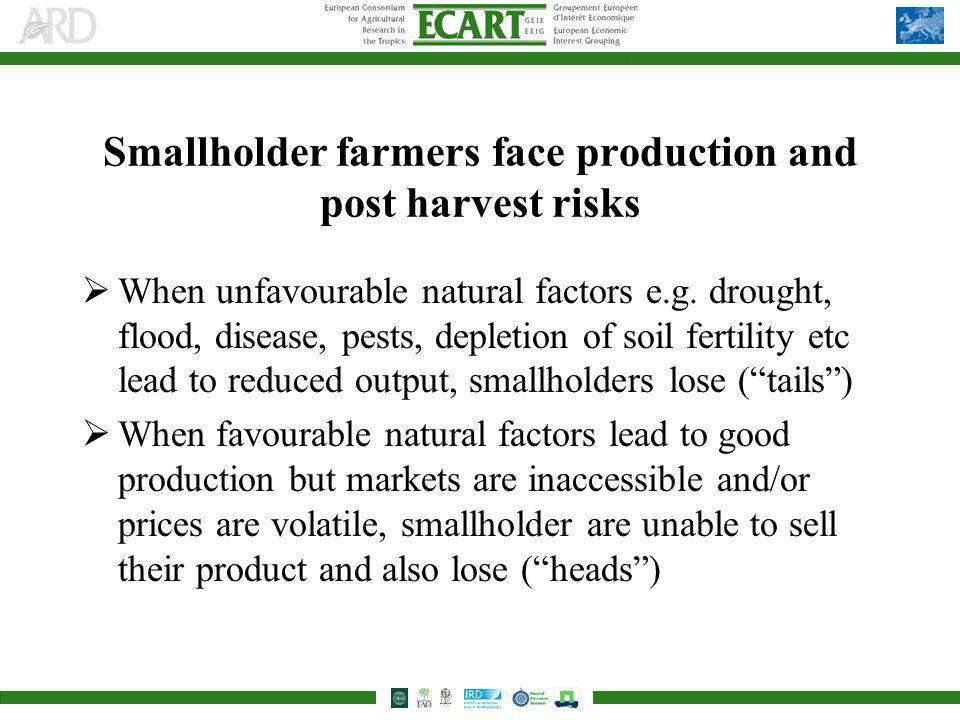 Smallholder farmers face production and post harvest risks When unfavourable natural factors e.g.