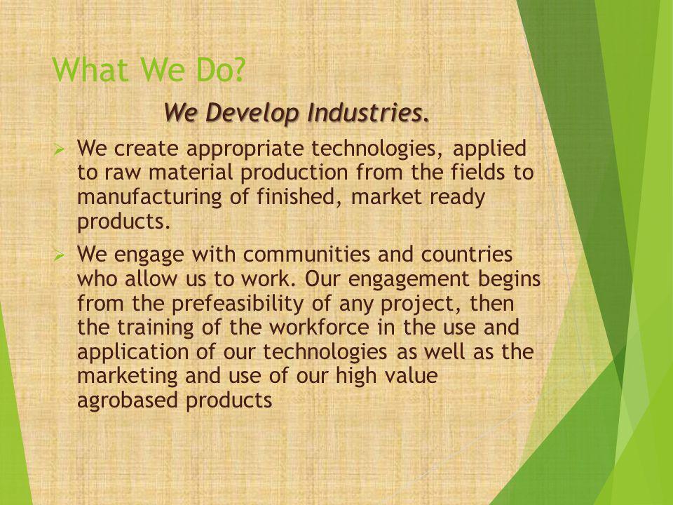 What We Do. We Develop Industries.