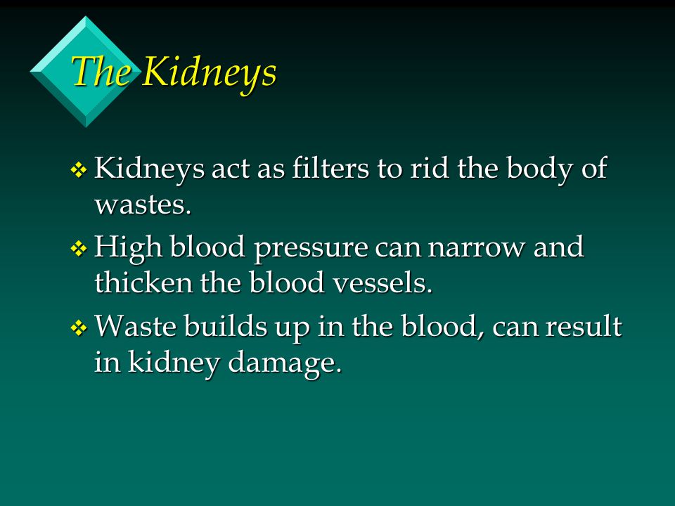 The Kidneys v Kidneys act as filters to rid the body of wastes.