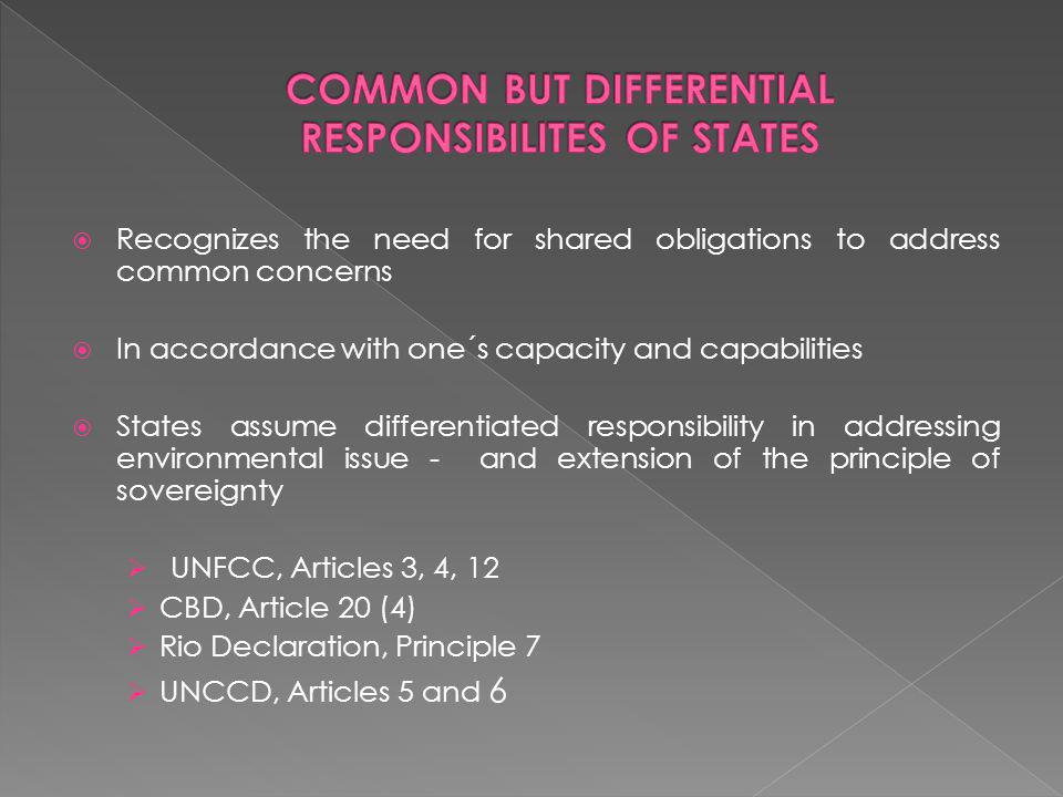 Recognizes the need for shared obligations to address common concerns In accordance with one´s capacity and capabilities States assume differentiated responsibility in addressing environmental issue - and extension of the principle of sovereignty UNFCC, Articles 3, 4, 12 CBD, Article 20 (4) Rio Declaration, Principle 7 UNCCD, Articles 5 and 6