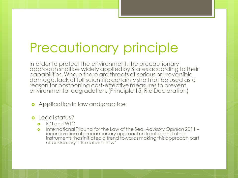Precautionary principle In order to protect the environment, the precautionary approach shall be widely applied by States according to their capabilities.