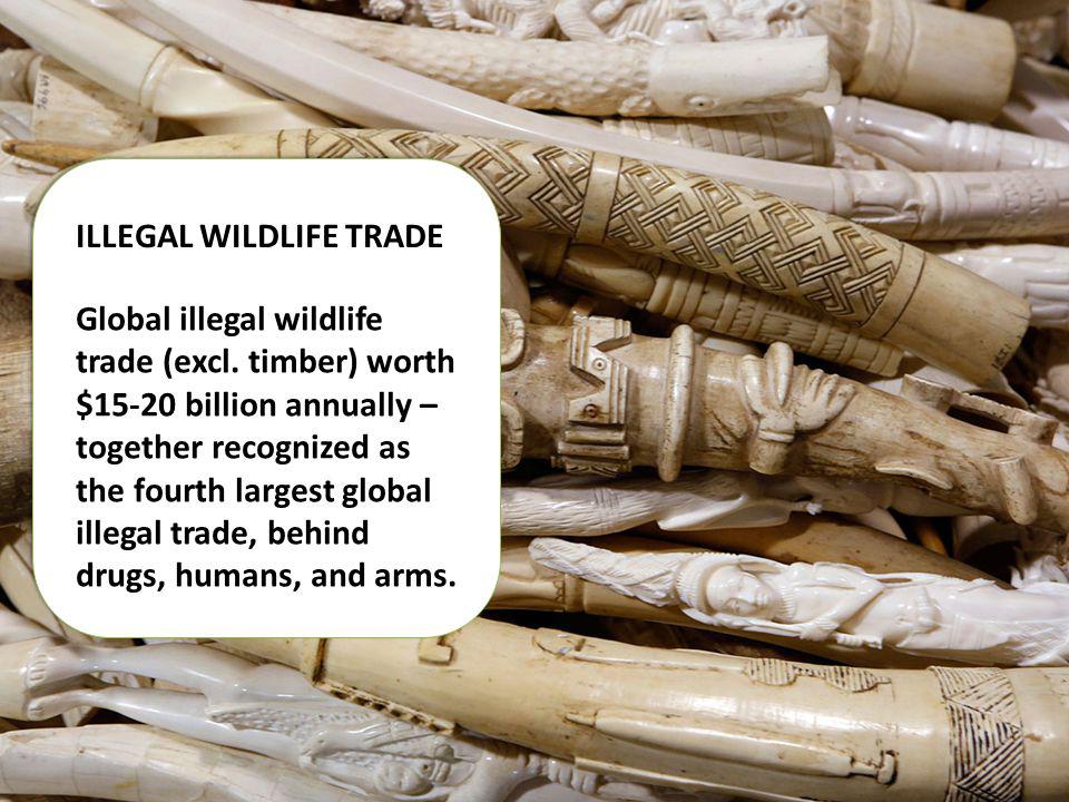 ILLEGAL WILDLIFE TRADE Global illegal wildlife trade (excl.