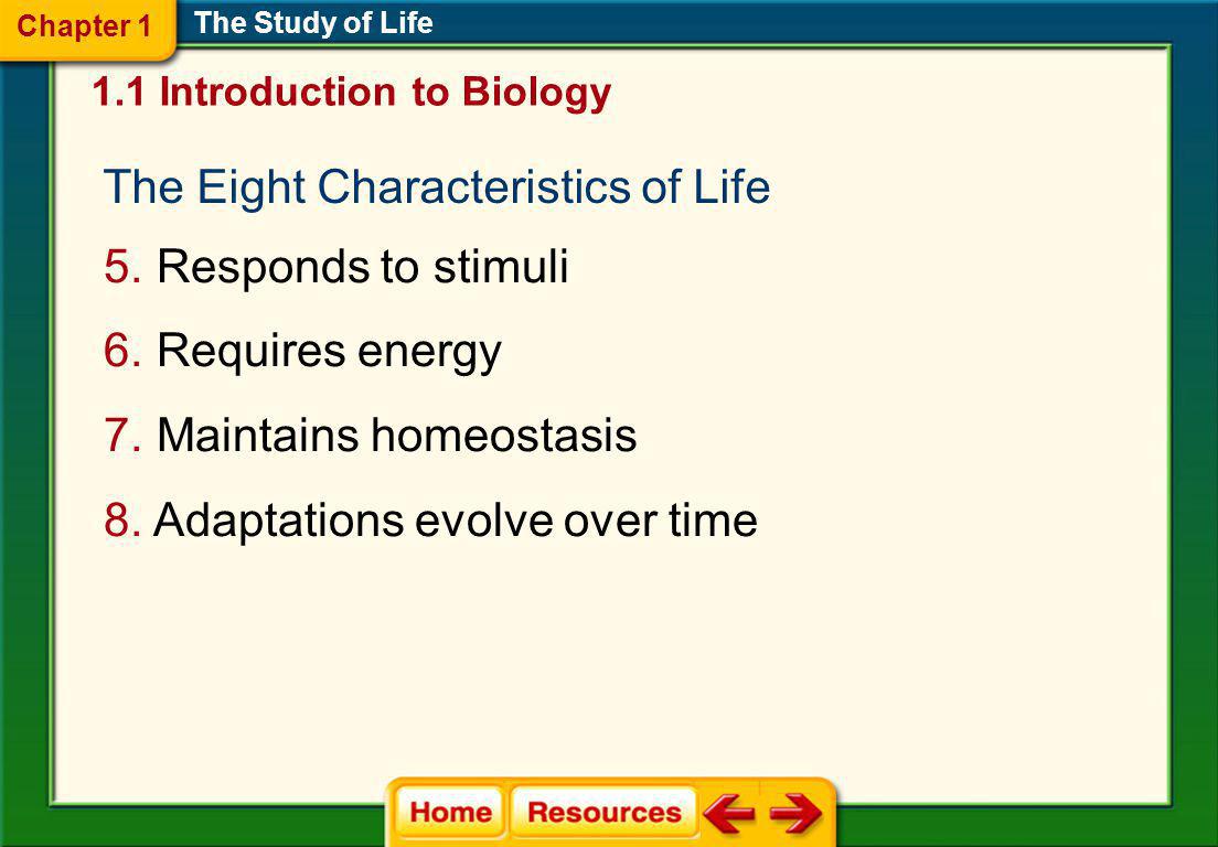 Worksheet Introduction To Biology Worksheet chapter 1 section introduction to biology worksheet intrepidpath on a lesson name select the study of life
