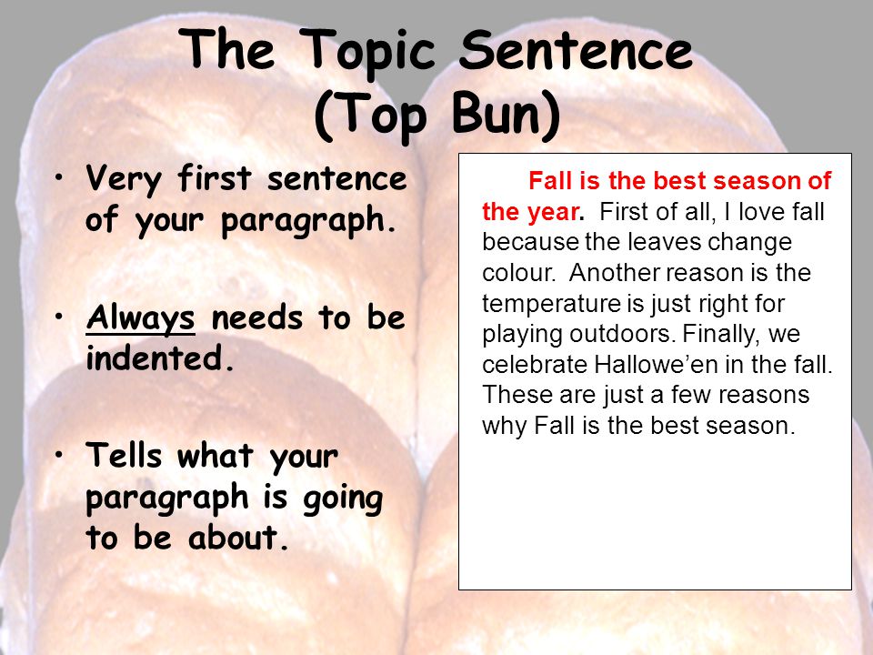 The Topic Sentence (Top Bun) Very first sentence of your paragraph.