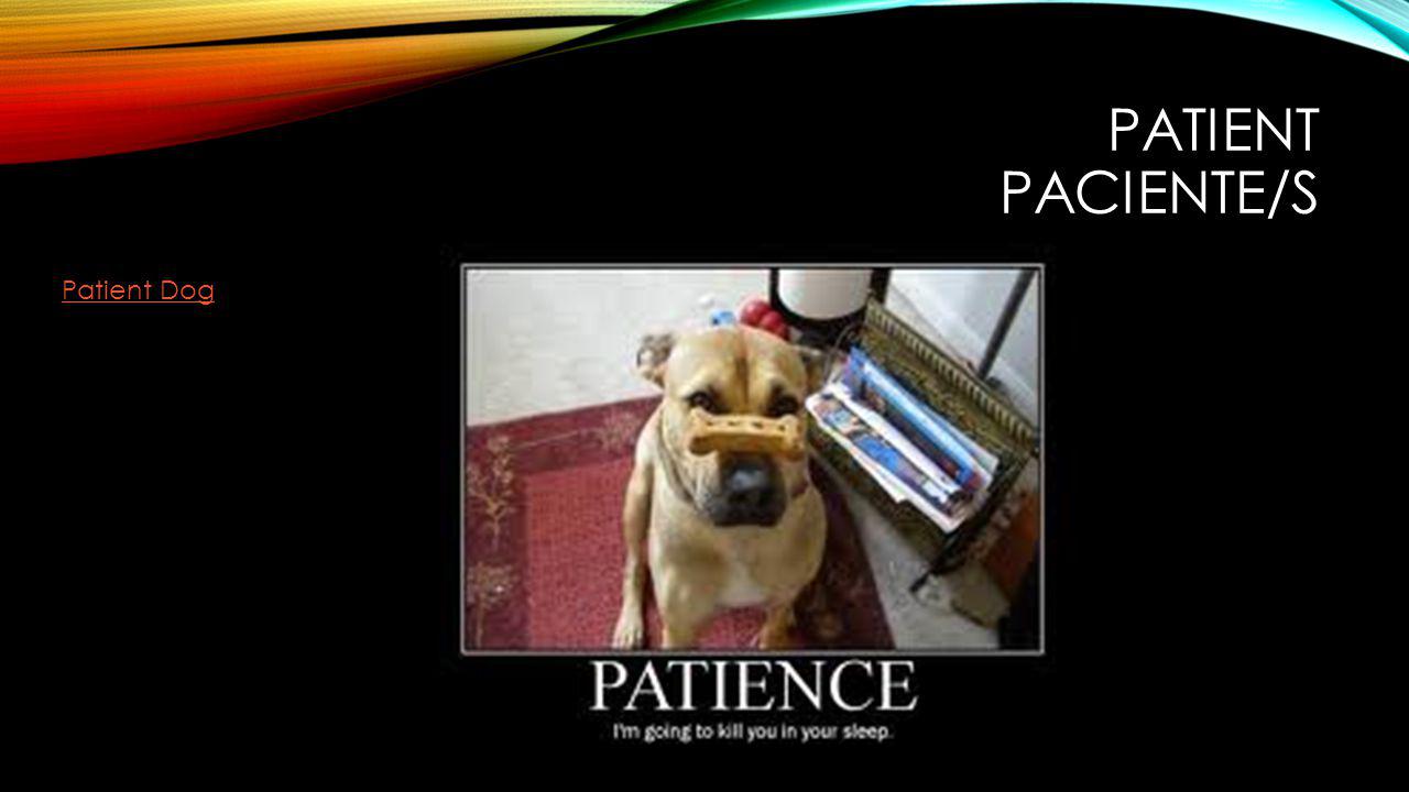PATIENT PACIENTE/S Patient Dog