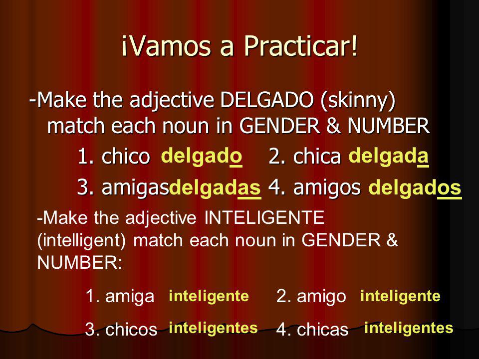 ¡Vamos a Practicar. -Make the adjective DELGADO (skinny) match each noun in GENDER & NUMBER 1.