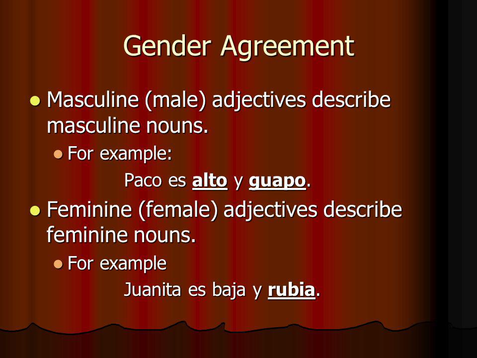 Gender Agreement Masculine (male) adjectives describe masculine nouns.