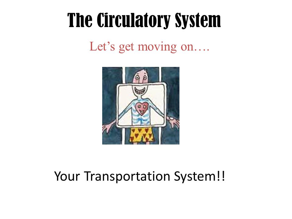 The Circulatory System Let’s get moving on…. Your Transportation System!!