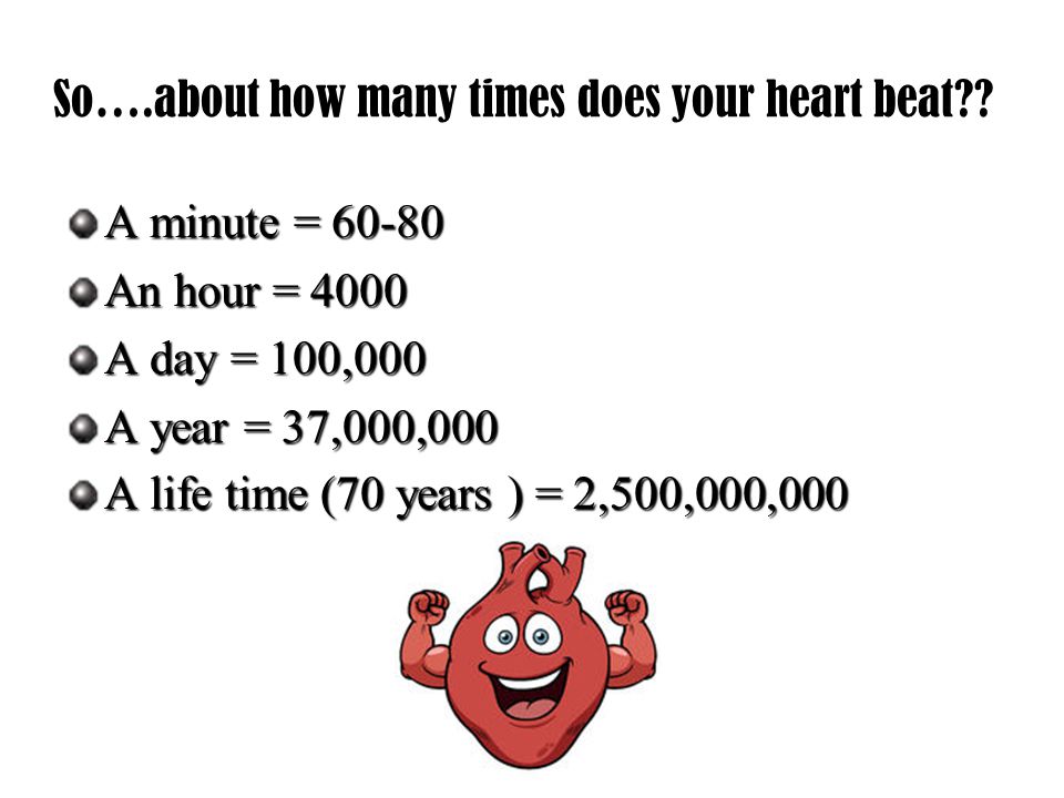 So….about how many times does your heart beat .
