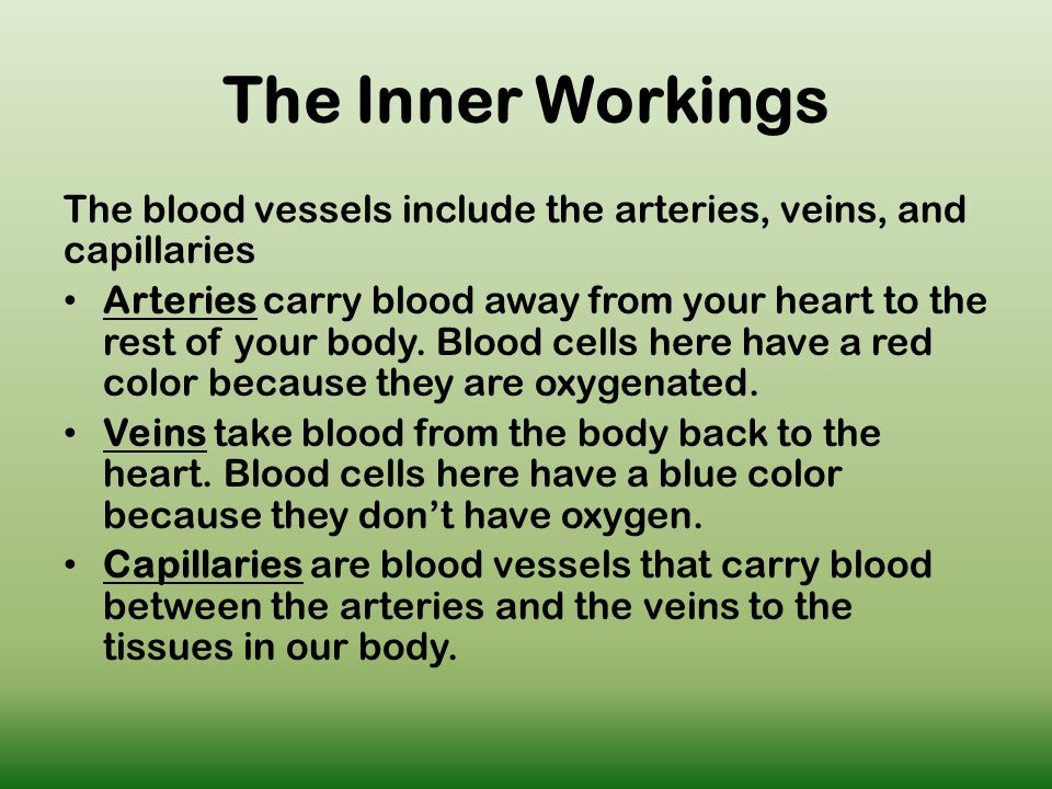 The Inner Workings The blood vessels include the arteries, veins, and capillaries Arteries carry blood away from your heart to the rest of your body.