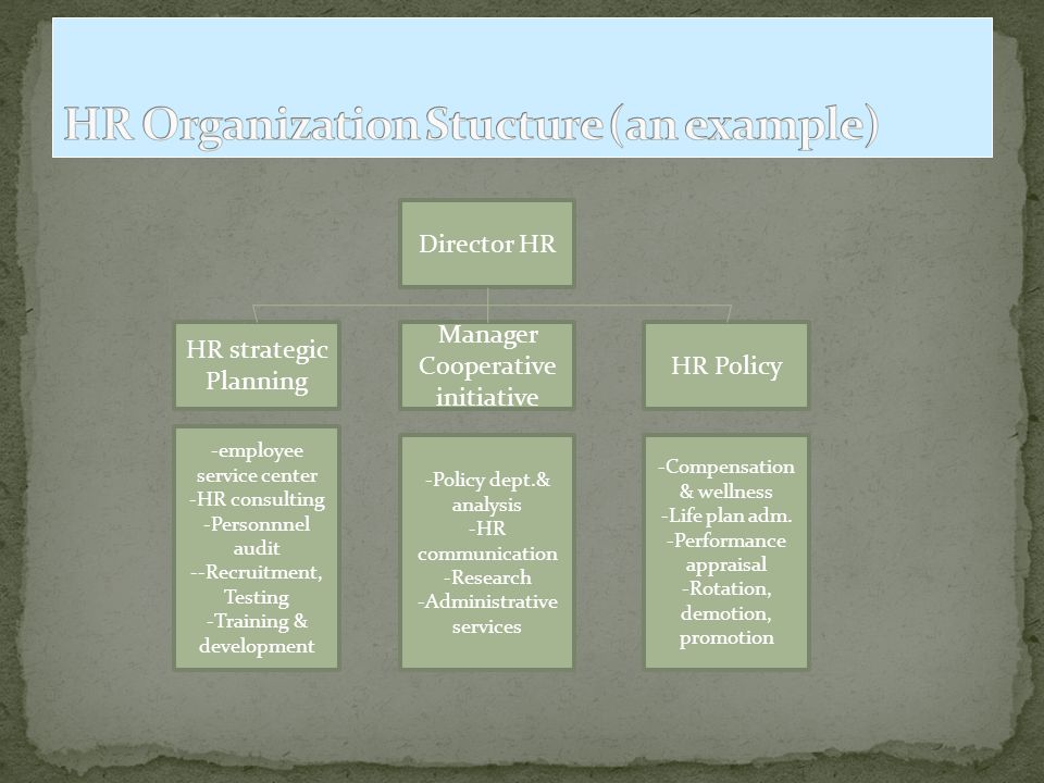 Director HR Manager Cooperative initiative HR Policy HR strategic Planning -employee service center -HR consulting -Personnnel audit --Recruitment, Testing -Training & development -Policy dept.& analysis -HR communication -Research -Administrative services -Compensation & wellness -Life plan adm.