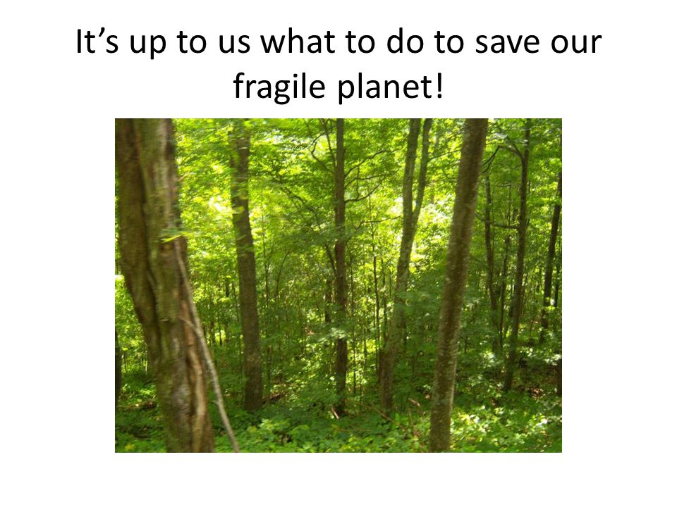 It’s up to us what to do to save our fragile planet!