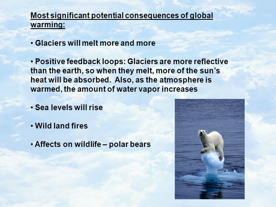 Most significant potential consequences of global warming: Glaciers will melt more and more Positive feedback loops: Glaciers are more reflective than the earth, so when they melt, more of the sun’s heat will be absorbed.