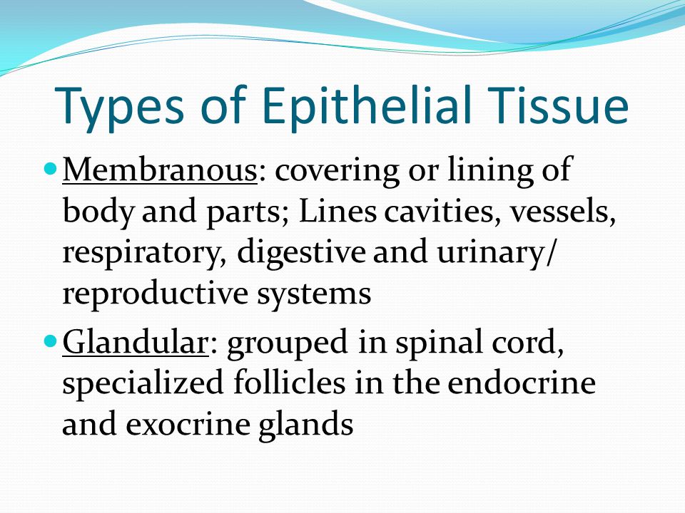 types of epithelial tissue