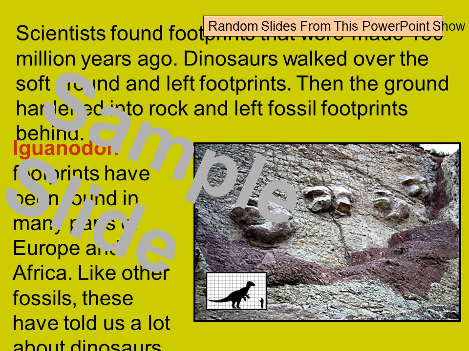 Scientists found footprints that were made 150 million years ago.