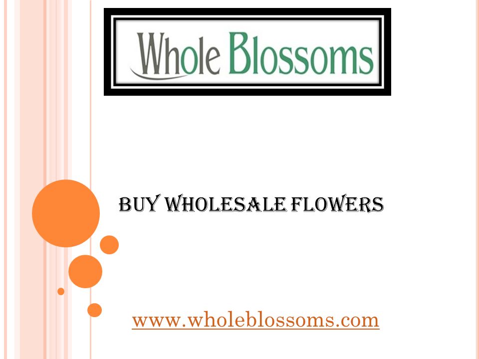 Buy Wholesale Flowers