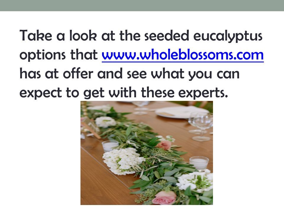 Take a look at the seeded eucalyptus options that   has at offer and see what you can expect to get with these experts.