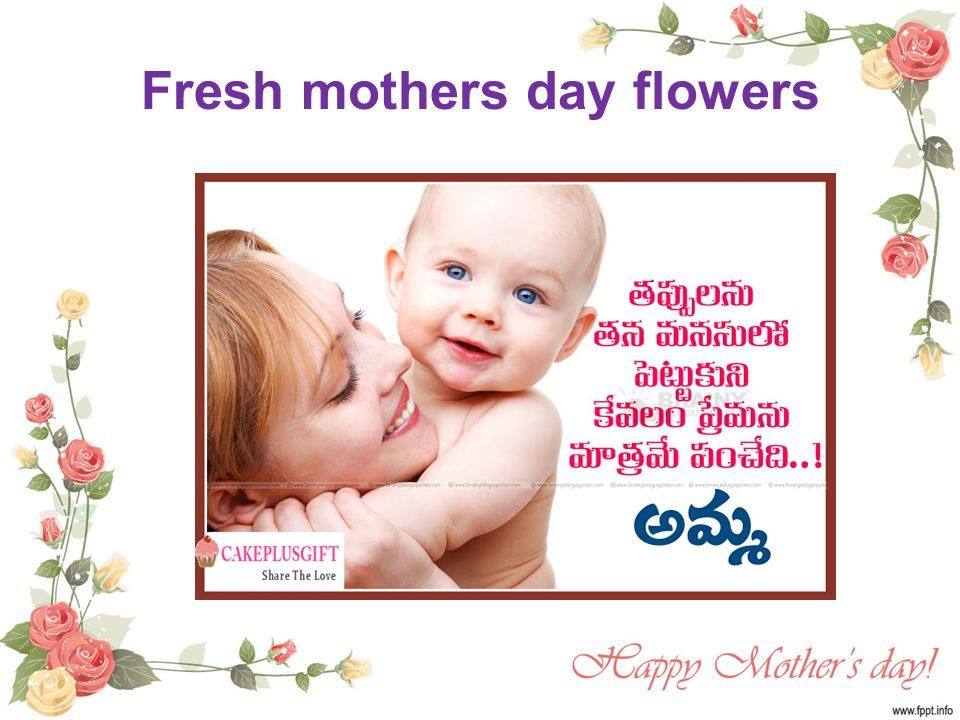 Fresh mothers day flowers