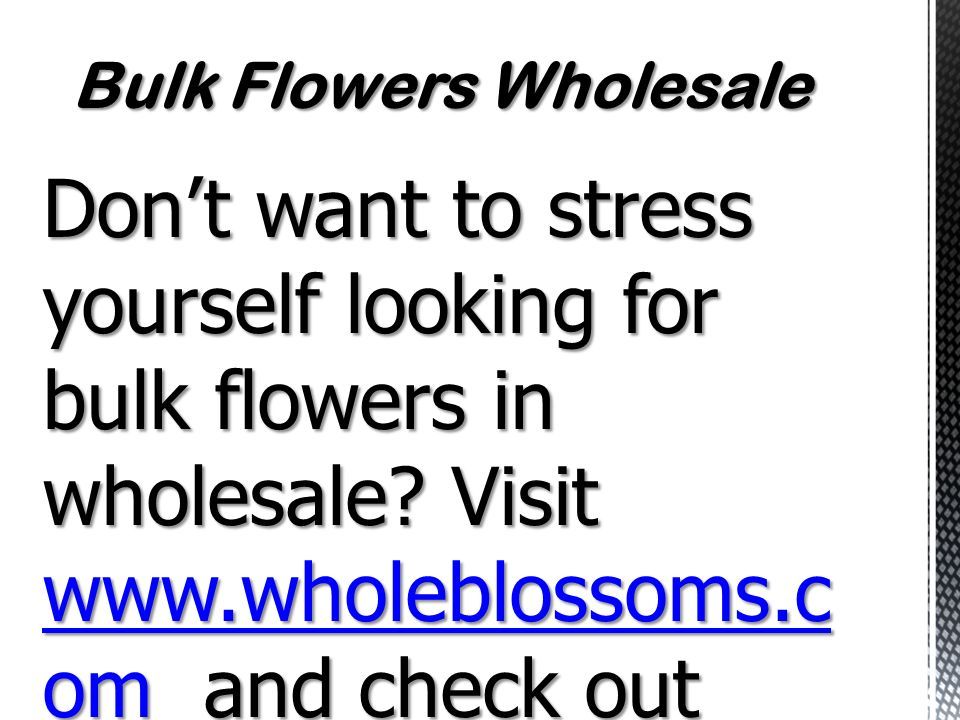 Don’t want to stress yourself looking for bulk flowers in wholesale.