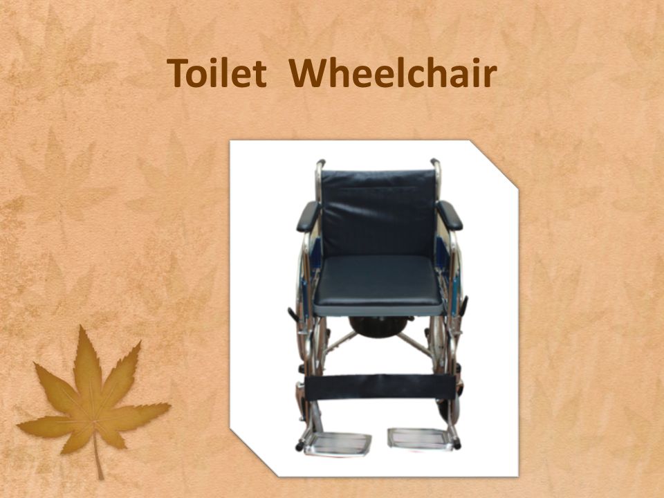 Toilet Wheelchair