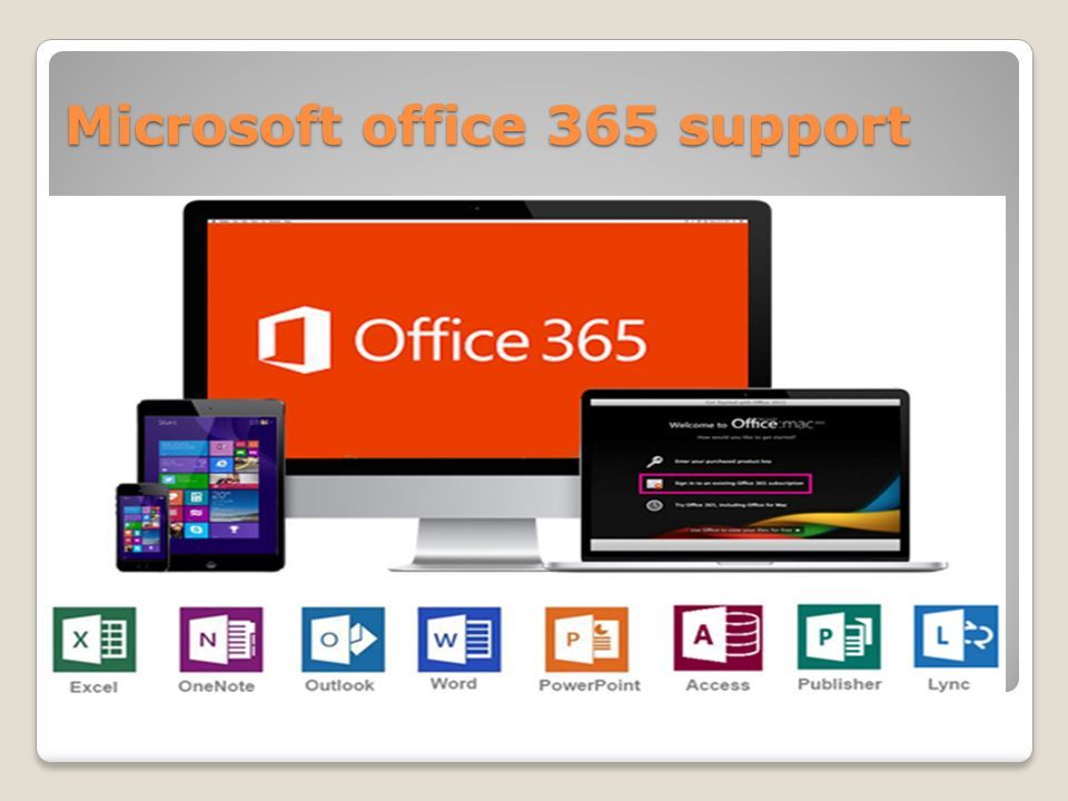 Microsoft office 365 support