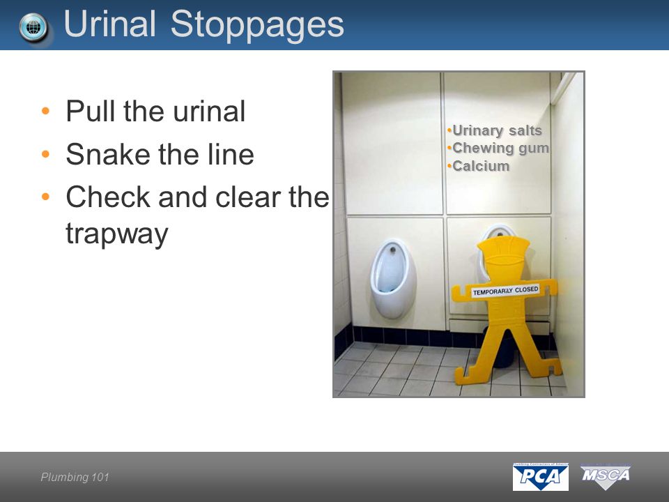 Plumbing 101 Urinal Stoppages Pull the urinal Snake the line Check and clear the trapway Urinary saltsUrinary salts Chewing gumChewing gum CalciumCalcium