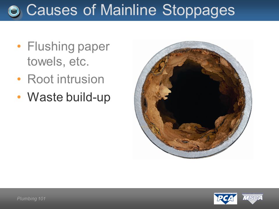 Plumbing 101 Causes of Mainline Stoppages Flushing paper towels, etc. Root intrusion Waste build-up