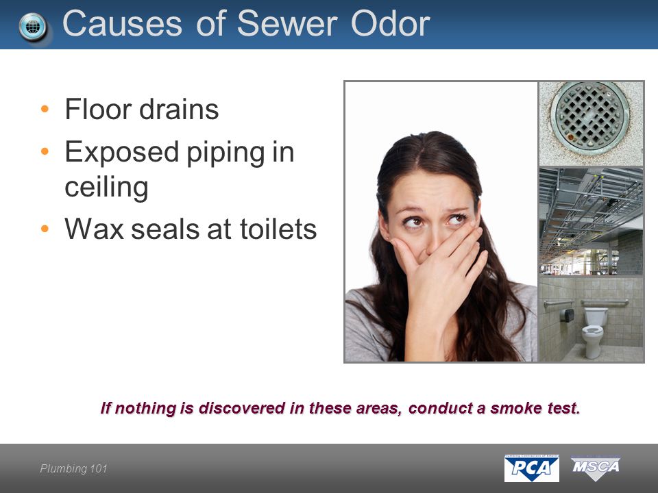 Plumbing 101 Causes of Sewer Odor Floor drains Exposed piping in ceiling Wax seals at toilets If nothing is discovered in these areas, conduct a smoke test.