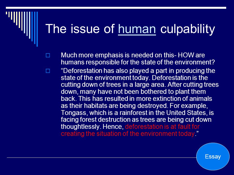 essay about rainforest essay about rainforest