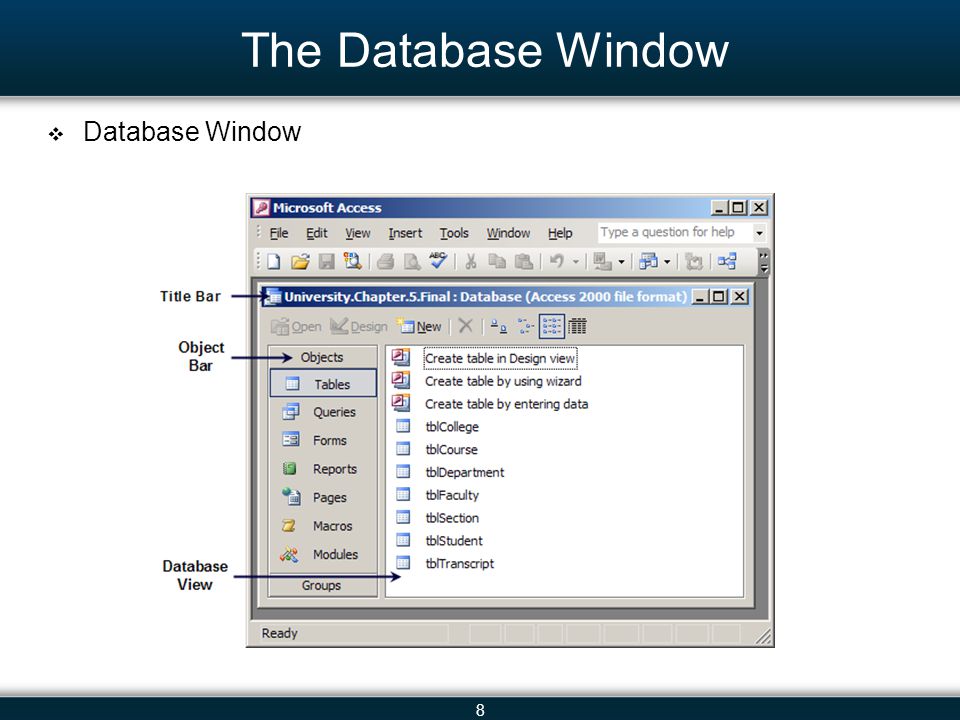 8 The Database Window Database Window