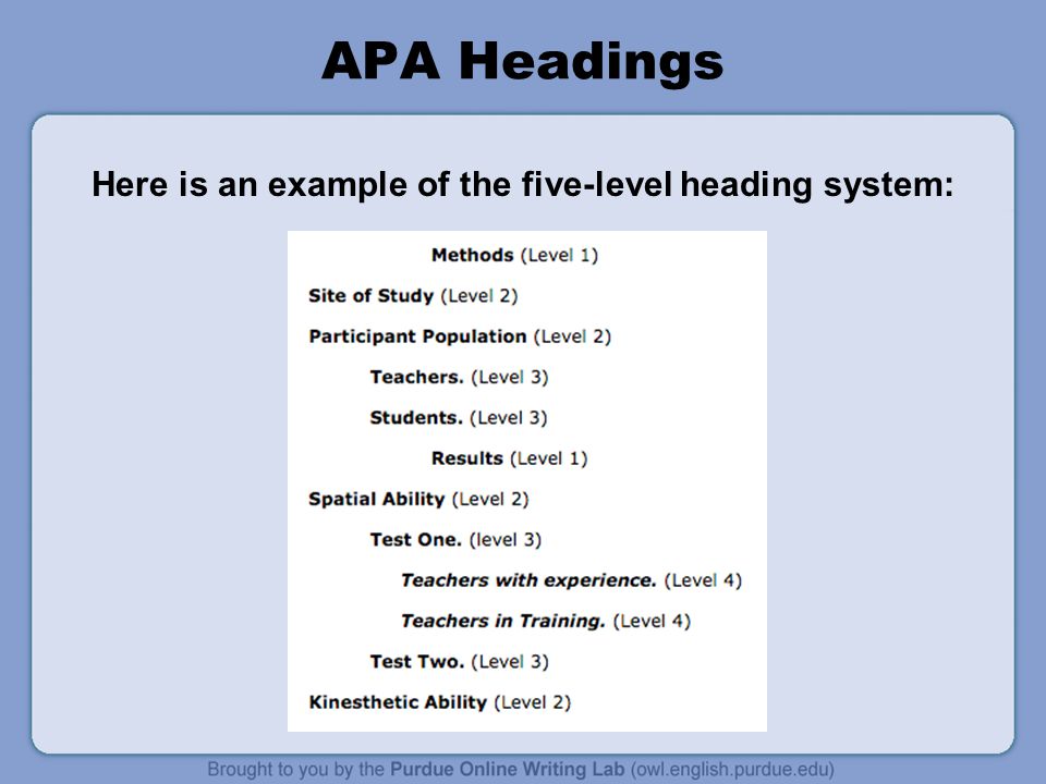 Essay on apa style