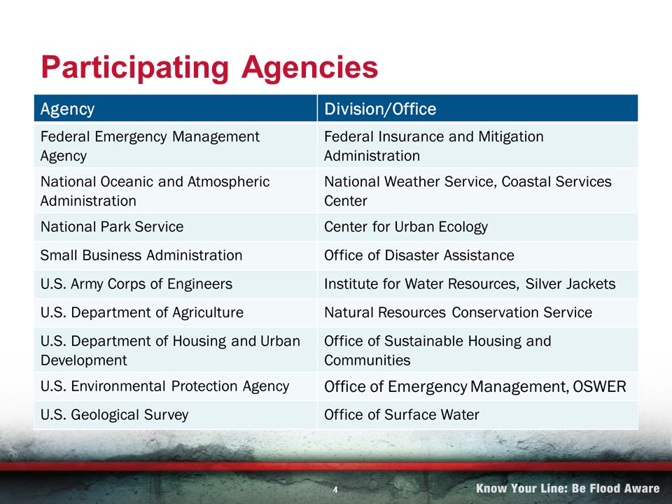 4 Participating Agencies