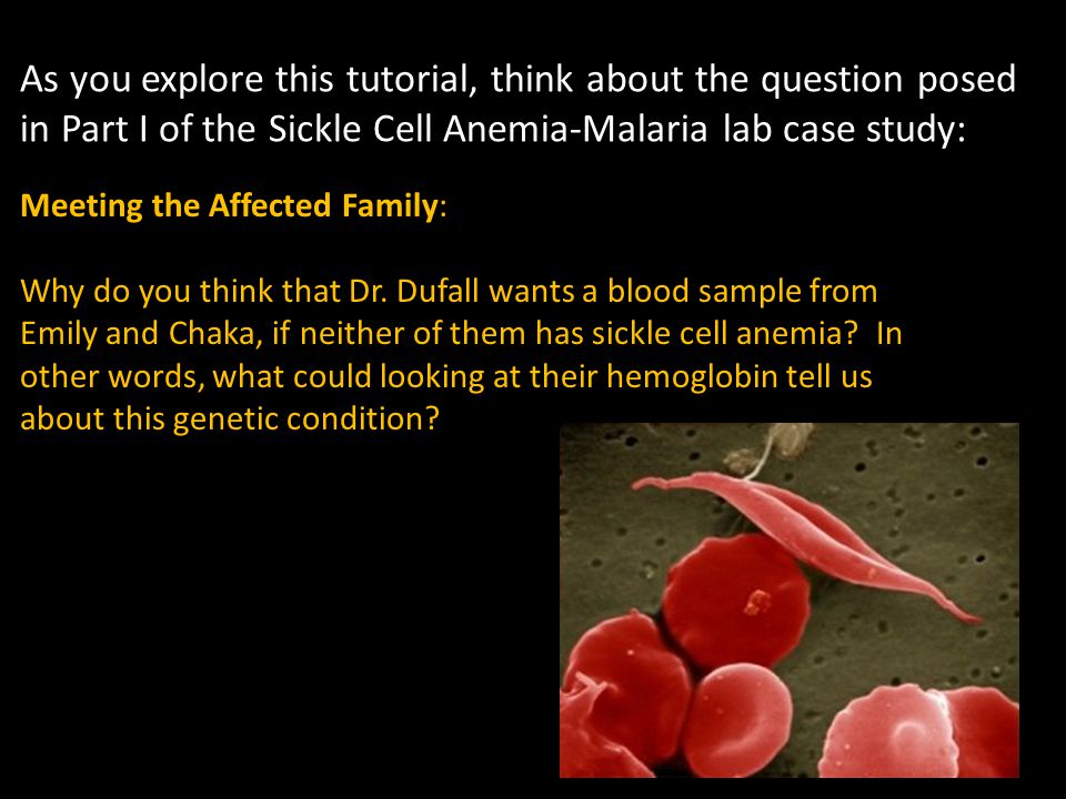 Anemia case study questions