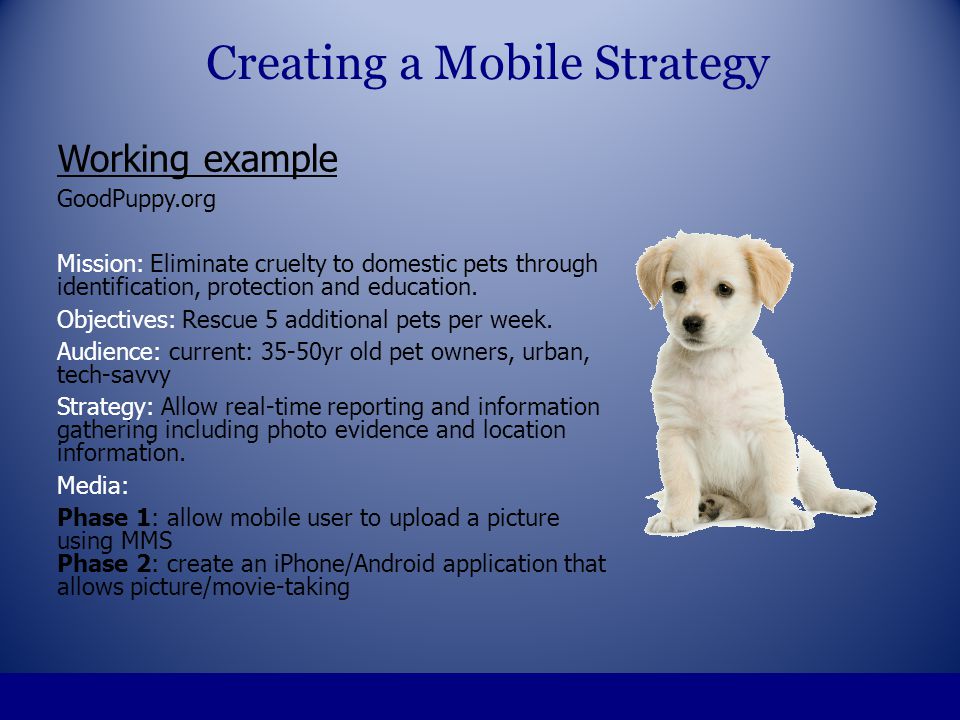 Working example GoodPuppy.org Mission: Eliminate cruelty to domestic pets through identification, protection and education.
