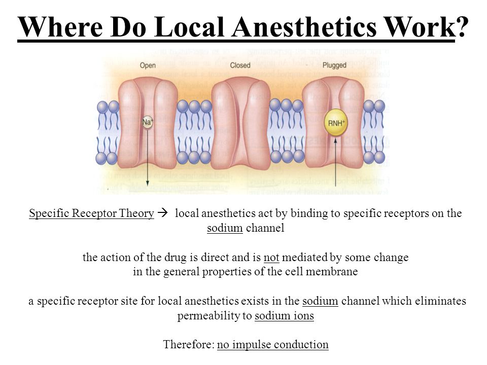 What is local anesthesia? - Medical News Today