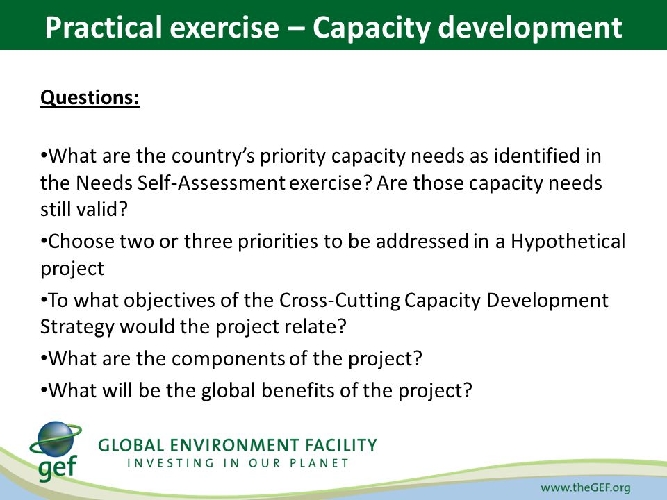 Questions: What are the countrys priority capacity needs as identified in the Needs Self-Assessment exercise.