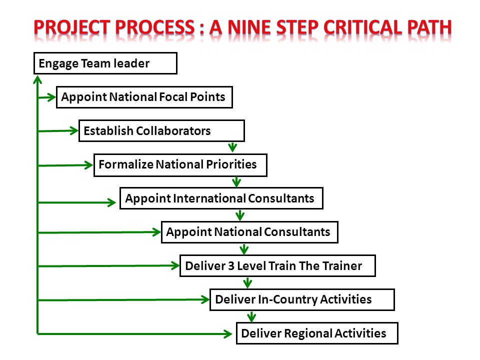 Engage Team leader Appoint National Focal Points Establish Collaborators Formalize National Priorities Appoint International Consultants Appoint National Consultants Deliver 3 Level Train The Trainer Deliver In-Country Activities Deliver Regional Activities