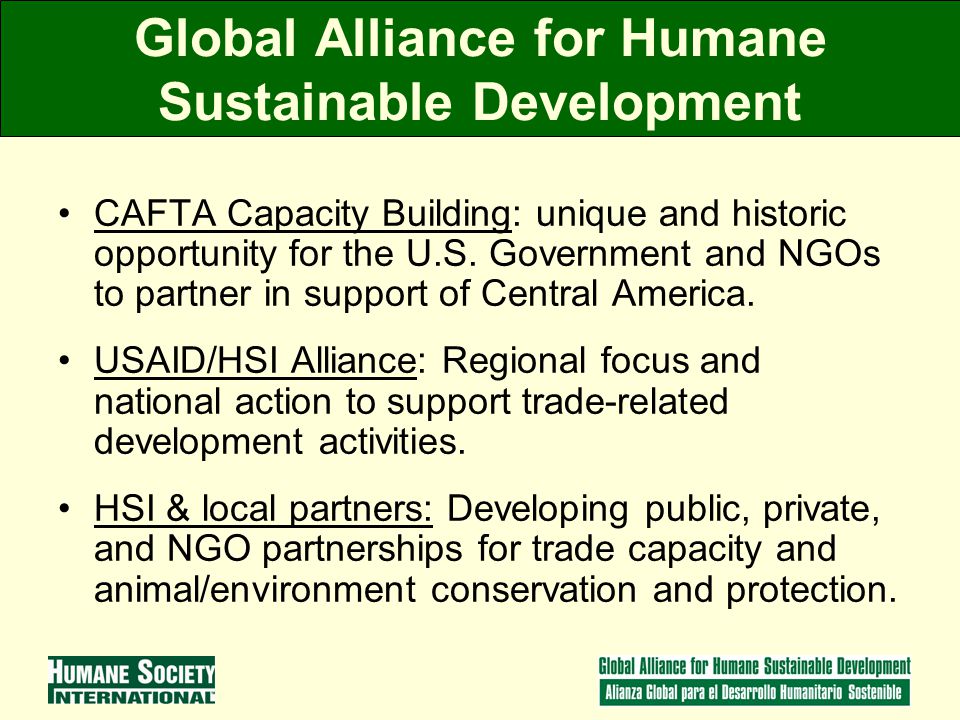 Global Alliance for Humane Sustainable Development CAFTA Capacity Building: unique and historic opportunity for the U.S.