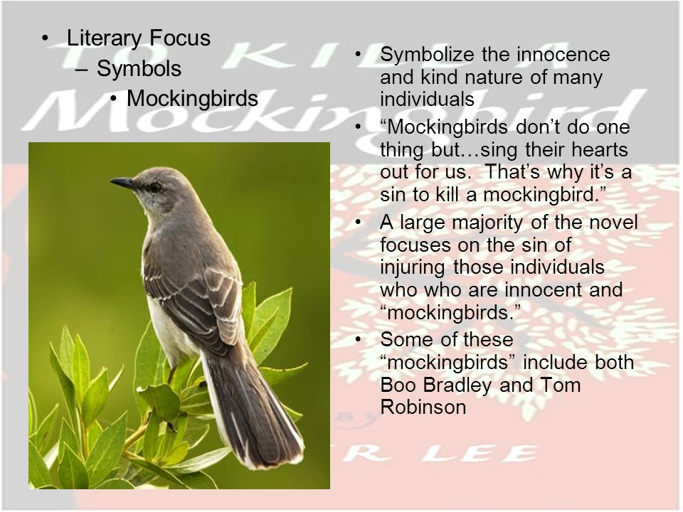 Literary Focus –Symbols Mockingbirds Symbolize the innocence and kind nature of many individuals Mockingbirds dont do one thing but…sing their hearts out for us.
