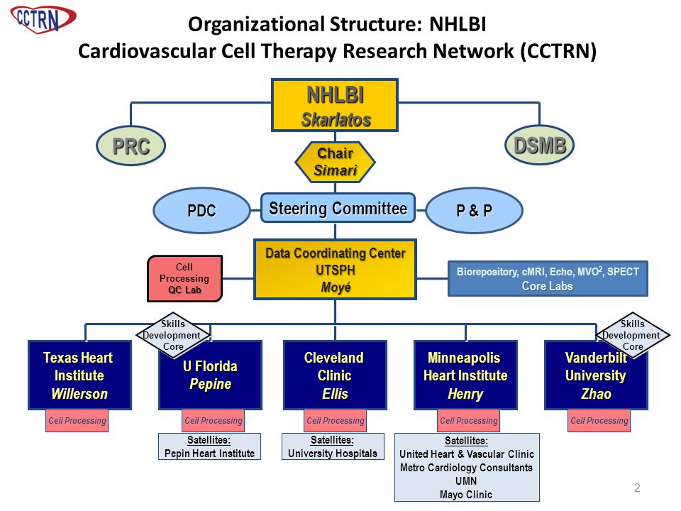 Organizational Structure: NHLBI Cardiovascular Cell Therapy Research Network (CCTRN) Data Coordinating Center UTSPHMoyé NHLBISkarlatos Texas Heart InstituteWillerson InstituteWillerson U Florida Pepine PepineClevelandClinicEllisClevelandClinicEllisMinneapolis Heart Institute HenryMinneapolis HenryVanderbiltUniversityZhaoVanderbiltUniversityZhao Cell Processing Steering Committee ChairSimari Skills Development Core Skills Development Core Skills Development Core Skills Development Core Cell Processing QC Lab Core Labs Biorepository, cMRI, Echo, MVO 2, SPECT Core Labs DSMBDSMB PRCPRC 2 PDC P & P Satellites: United Heart & Vascular Clinic Metro Cardiology Consultants UMN Mayo Clinic Satellites: United Heart & Vascular Clinic Metro Cardiology Consultants UMN Mayo Clinic Satellites: Pepin Heart Institute Satellites: Pepin Heart Institute Satellites: University Hospitals Satellites: University Hospitals