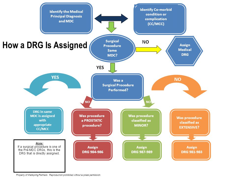 Doctorial Dissertation Process