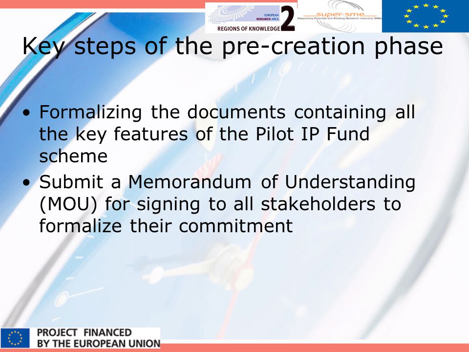 Key steps of the pre-creation phase Formalizing the documents containing all the key features of the Pilot IP Fund scheme Submit a Memorandum of Understanding (MOU) for signing to all stakeholders to formalize their commitment
