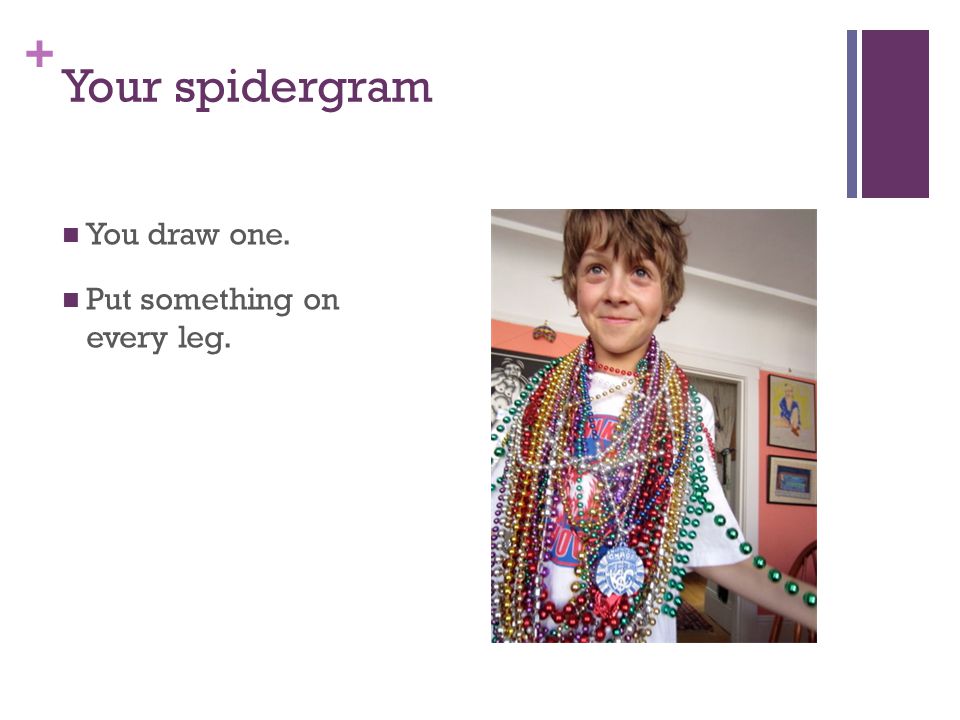 + Your spidergram You draw one. Put something on every leg.