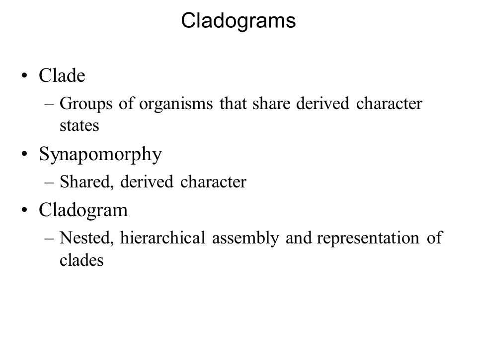 making cladograms essay 54u6 evidence from cladistics has shown that classifications of some groups based on structure did not 54s1 analysis of cladograms to deduce. making cladograms essay 54u6 evidence from cladistics has shown that classifications of some groups based on structure did not 54s1 analysis of cladograms to deduce.