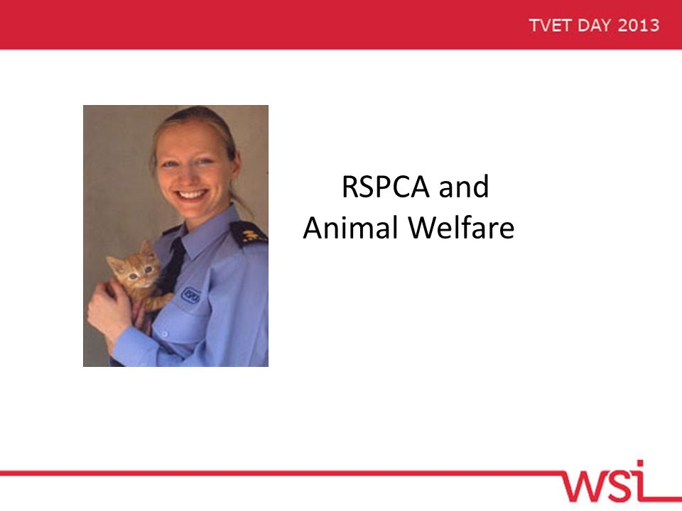 RSPCA and Animal Welfare
