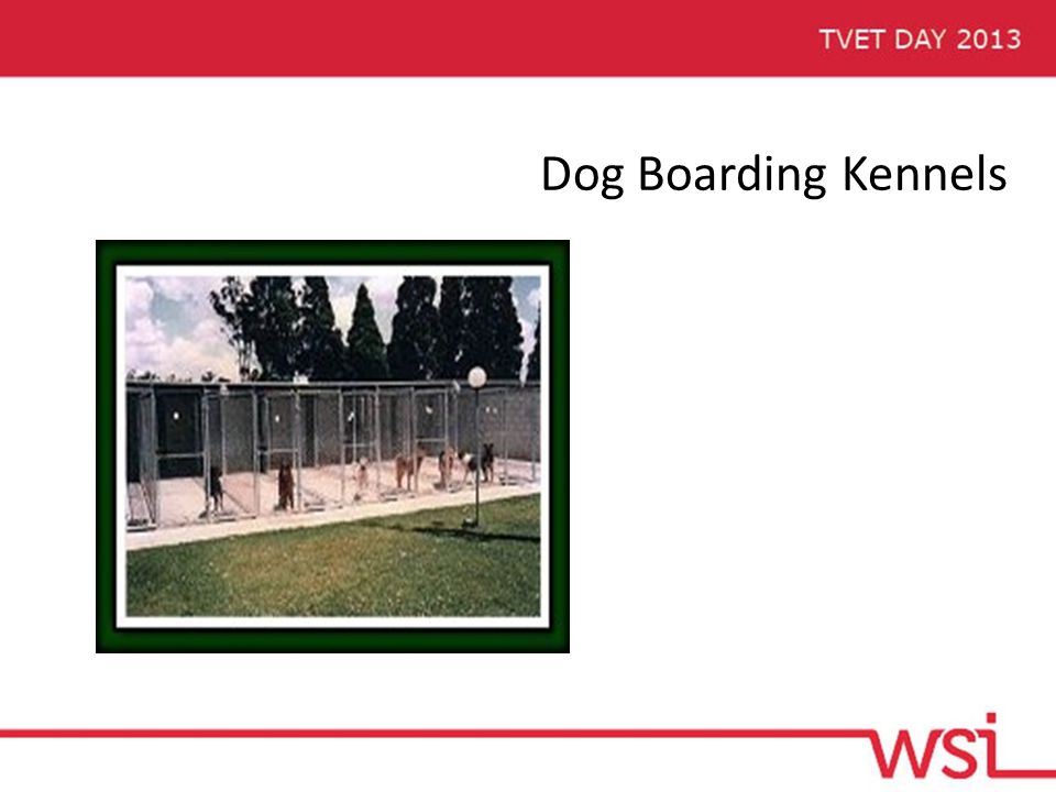Dog Boarding Kennels